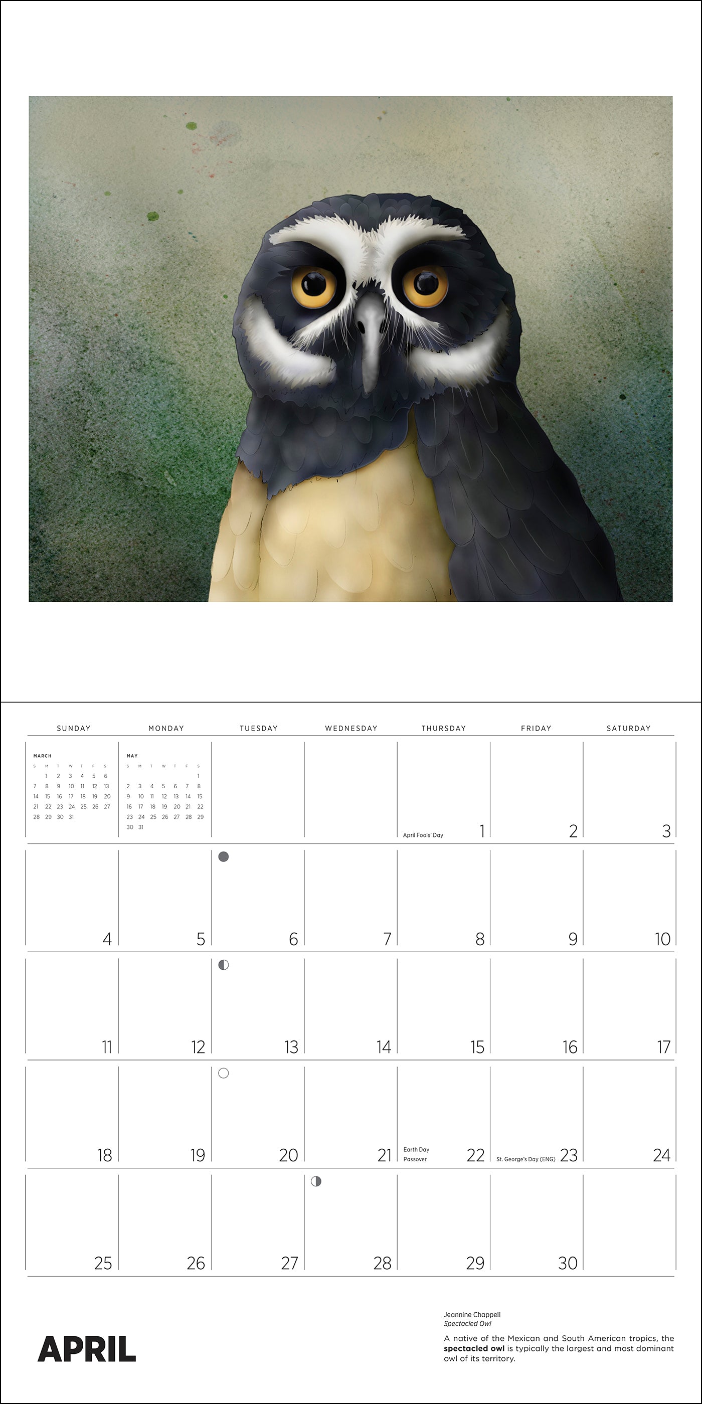 pomegranate-owls-chappell-2027-wandkalender-eulen image 5