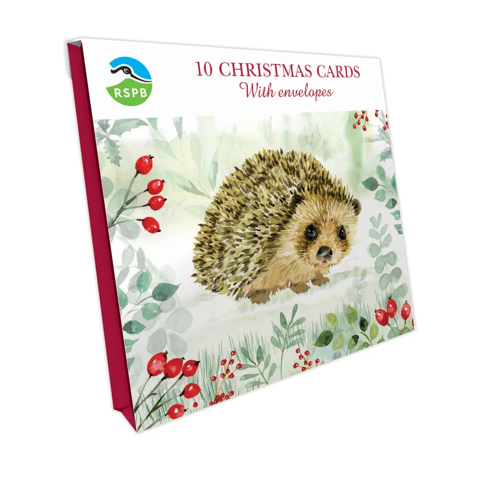 otter-house-hedgehog-berries-weihnachtskarten-10er-pack image 1