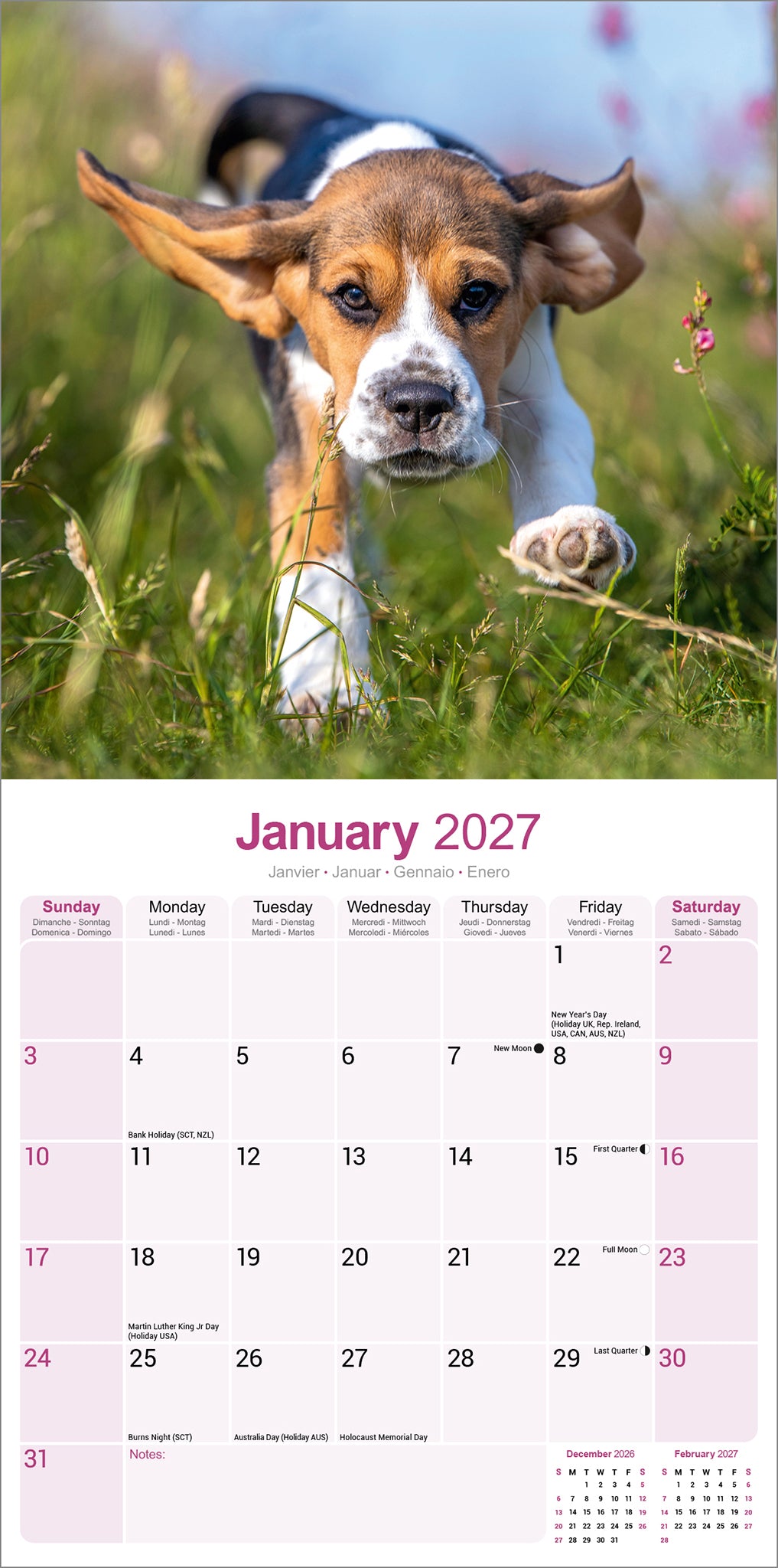 otter-house-beagle-wandkalender-2027-hunde-bilderkalender image 3