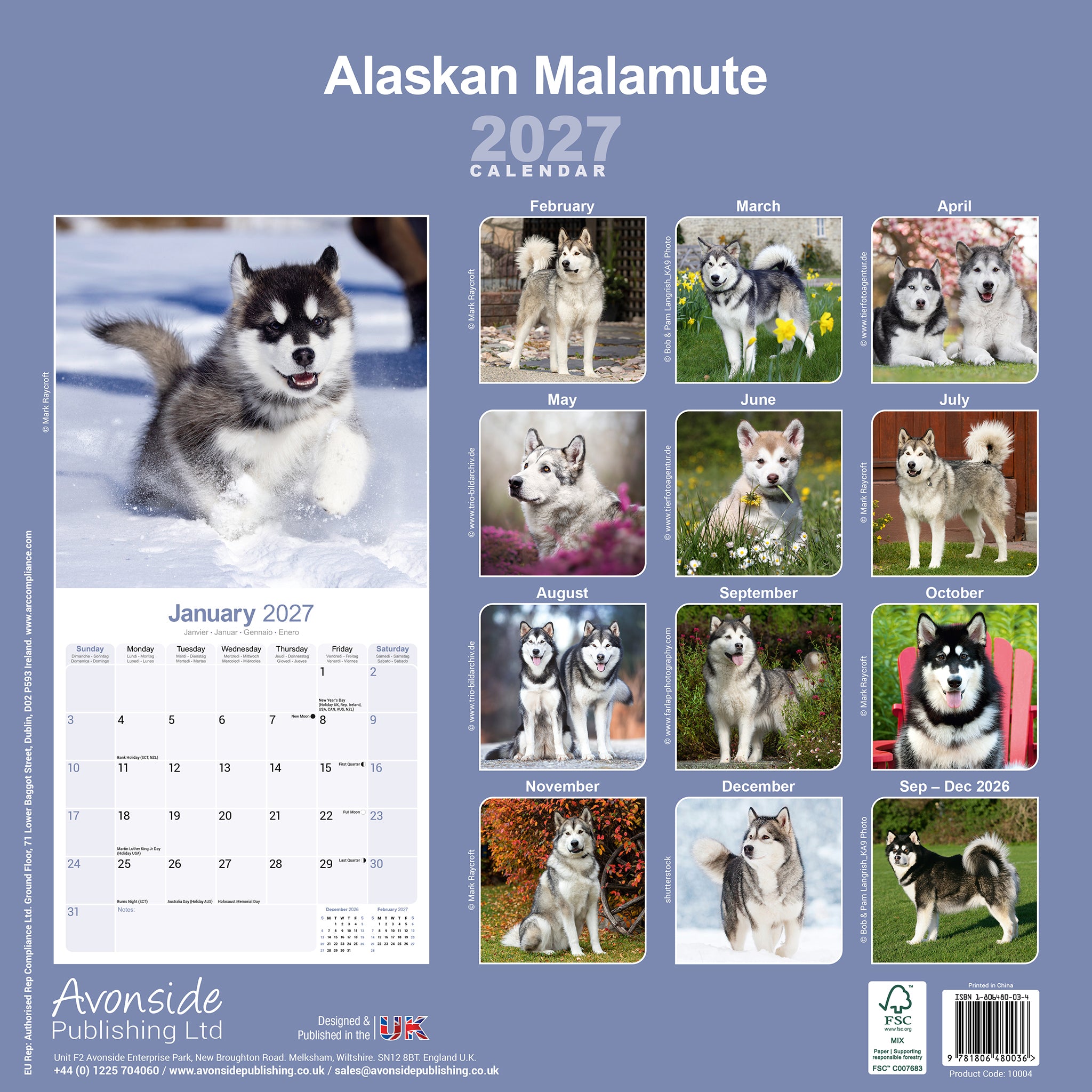 otter-house-calendars-alaskan-malamute-wandkalender-2027-hunde image 2