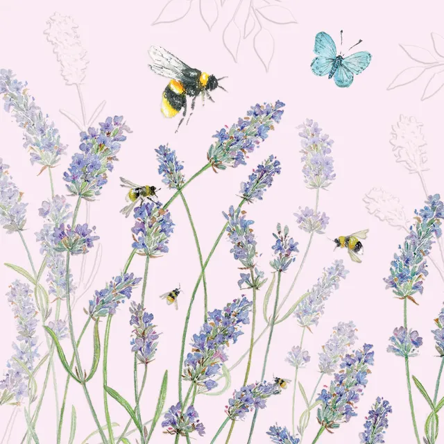 otter-house-beautiful-blooms-lavender-gru-karte-lavendel image 1