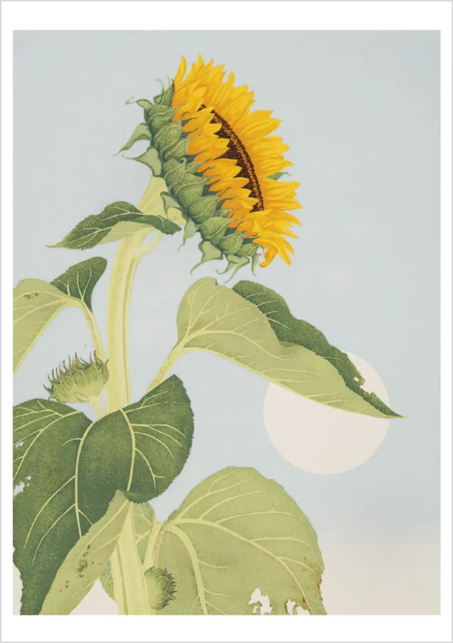 pomegranate-kate-krasin-sunflower-grusskarte-blume image 1