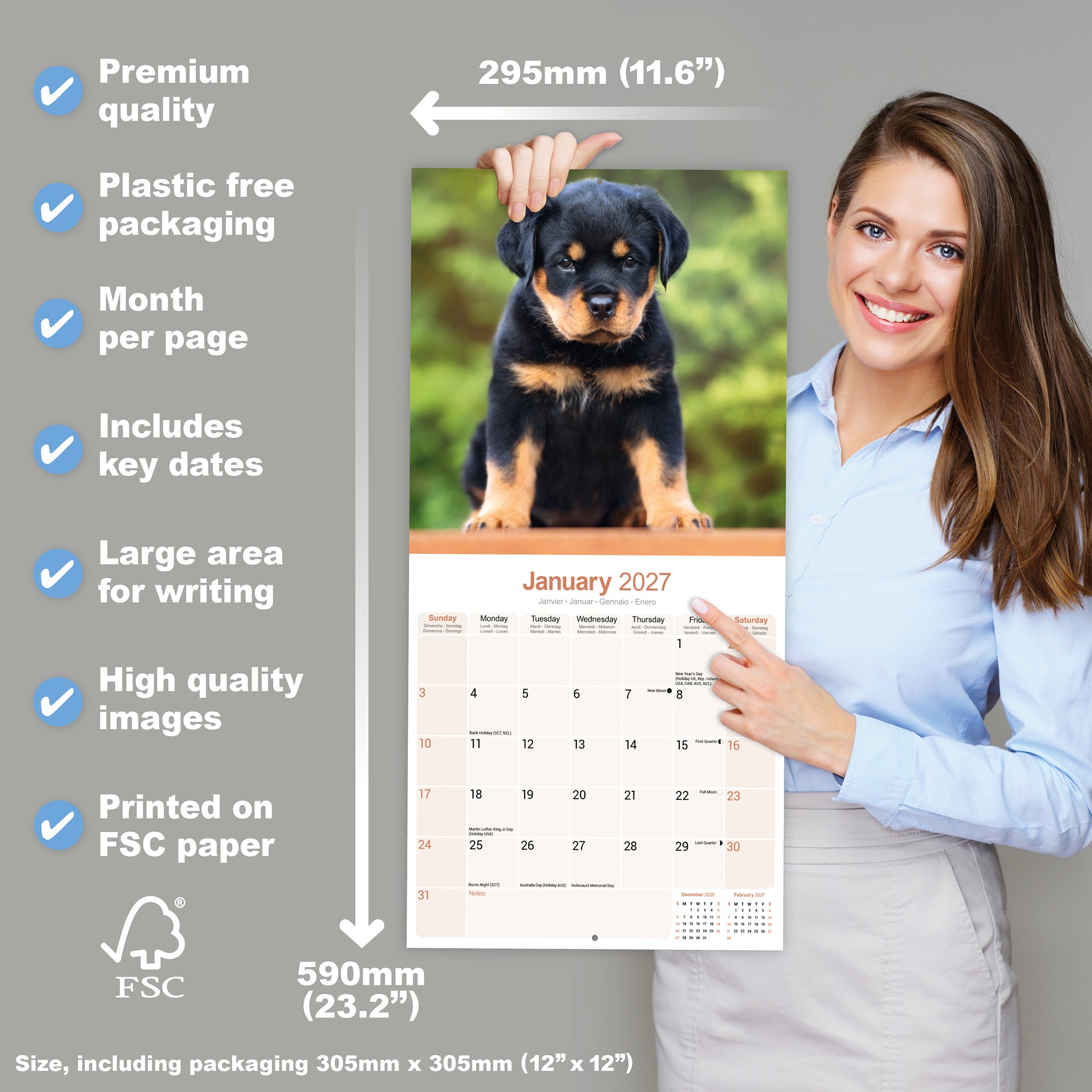 otter-house-rottweiler-wall-calendar-2027-hunde-wandkalender image 4