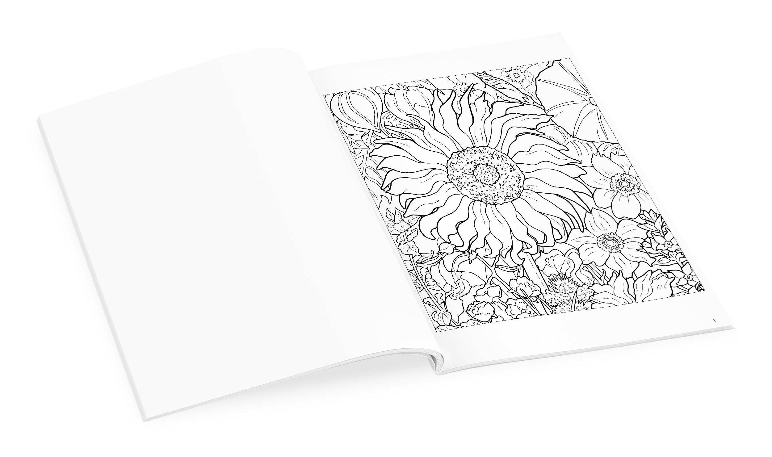 pomegranate-flower-cycle-malbuch-rosalind-wise-blumen image 3