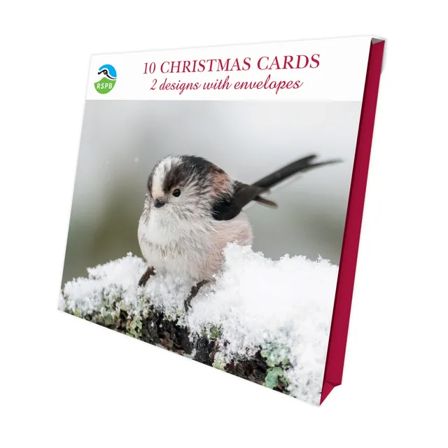otter-house-snowflakes-feathers-weihnachtskarte-10er image 1