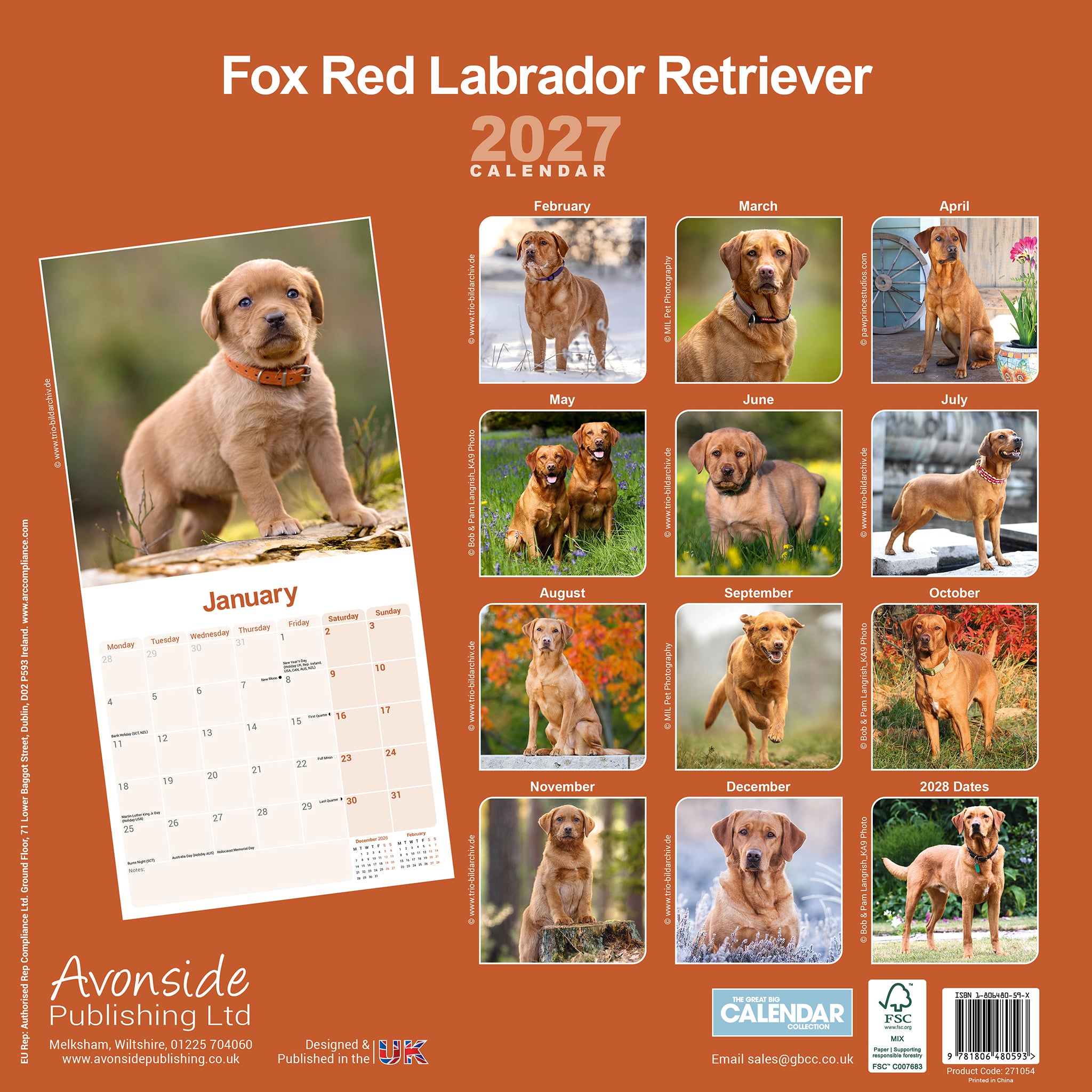 otter-house-labrador-retriever-fox-red-wandkalender-2027-hund image 2