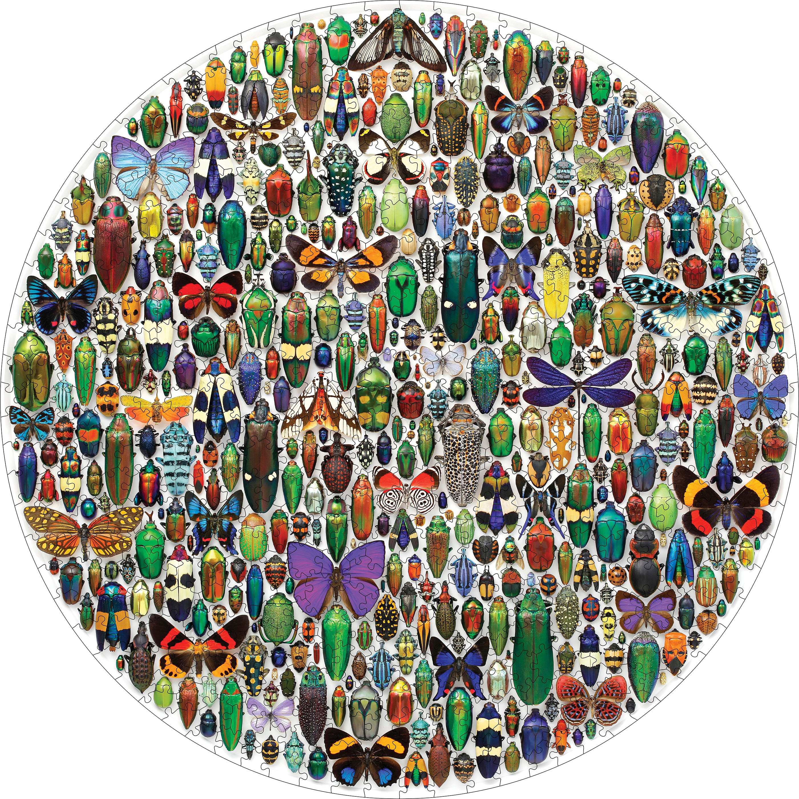 pomegranate-christopher-marley-macrocosm-puzzle-500-teile-rund image 2