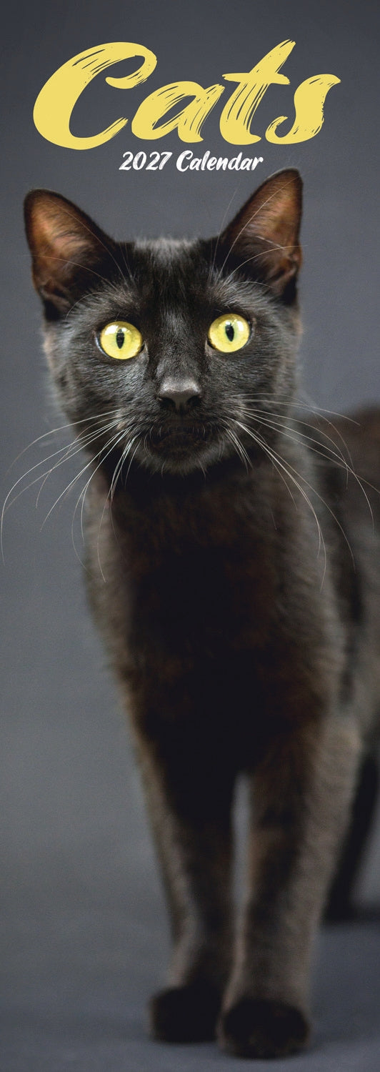 otter-house-katzen-slim-kalender-2027-schmalformat image 1