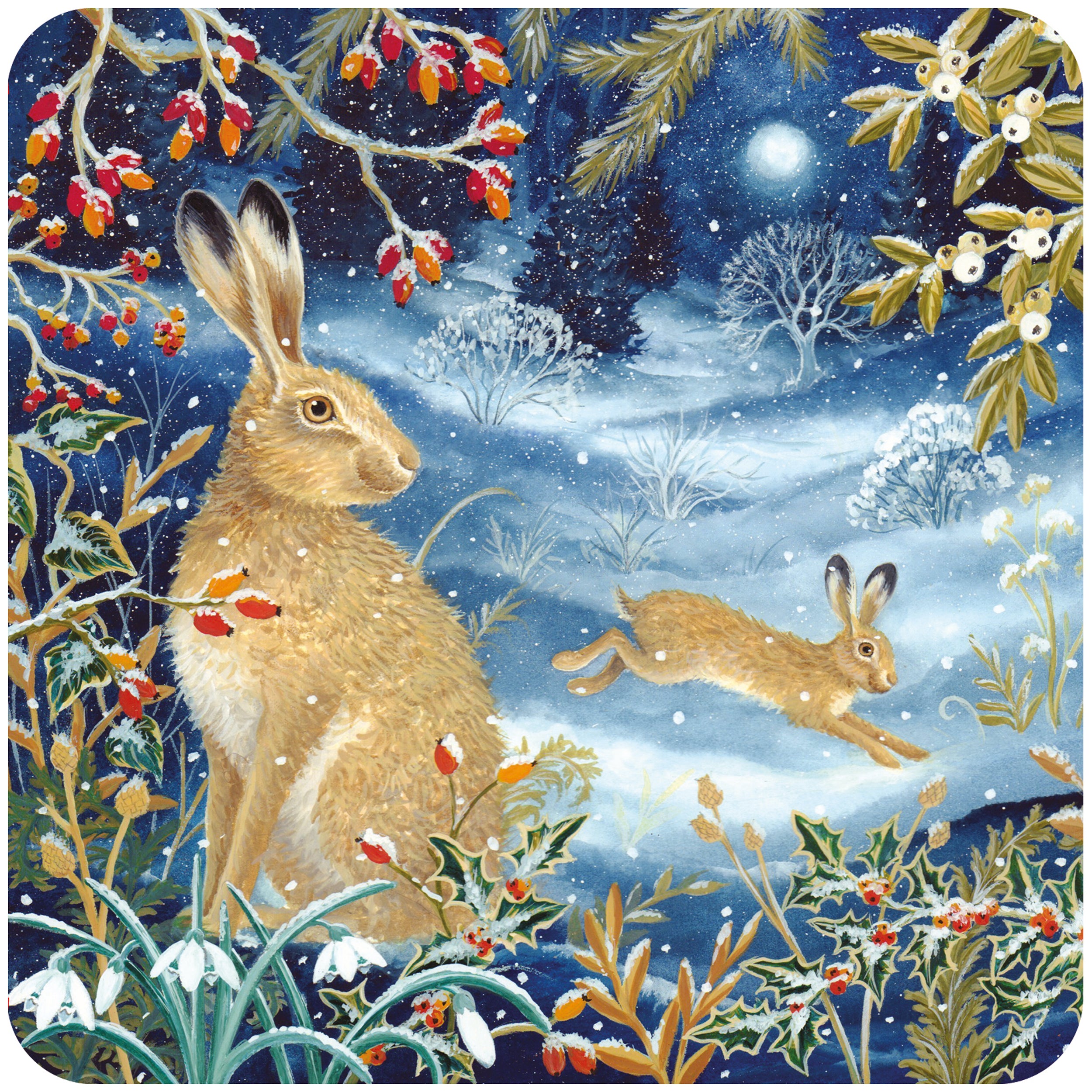 otter-house-rspb-moonlit-snow-fun-weihnachtskarten-10er image 1