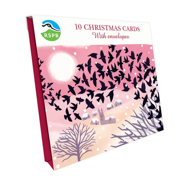 otter-house-starling-murmuration-weihnachtskarten-10er-pack image 1