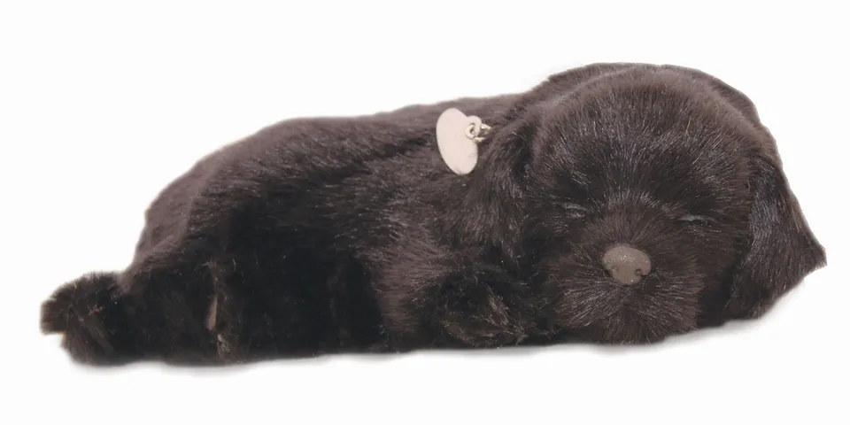 otter-house-precious-petzzz-black-labrador-pl-schhund-bett image 1