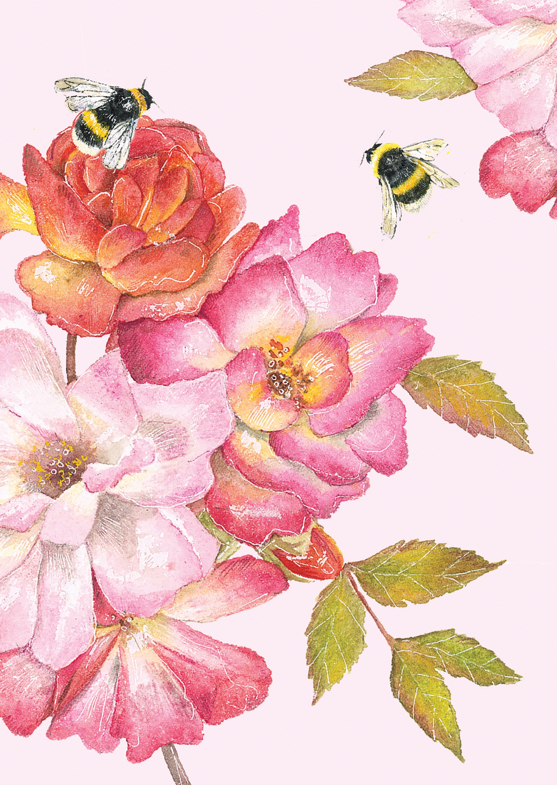 otter-house-stationery-beautiful-blooms-notizkarten-12er-set image 2