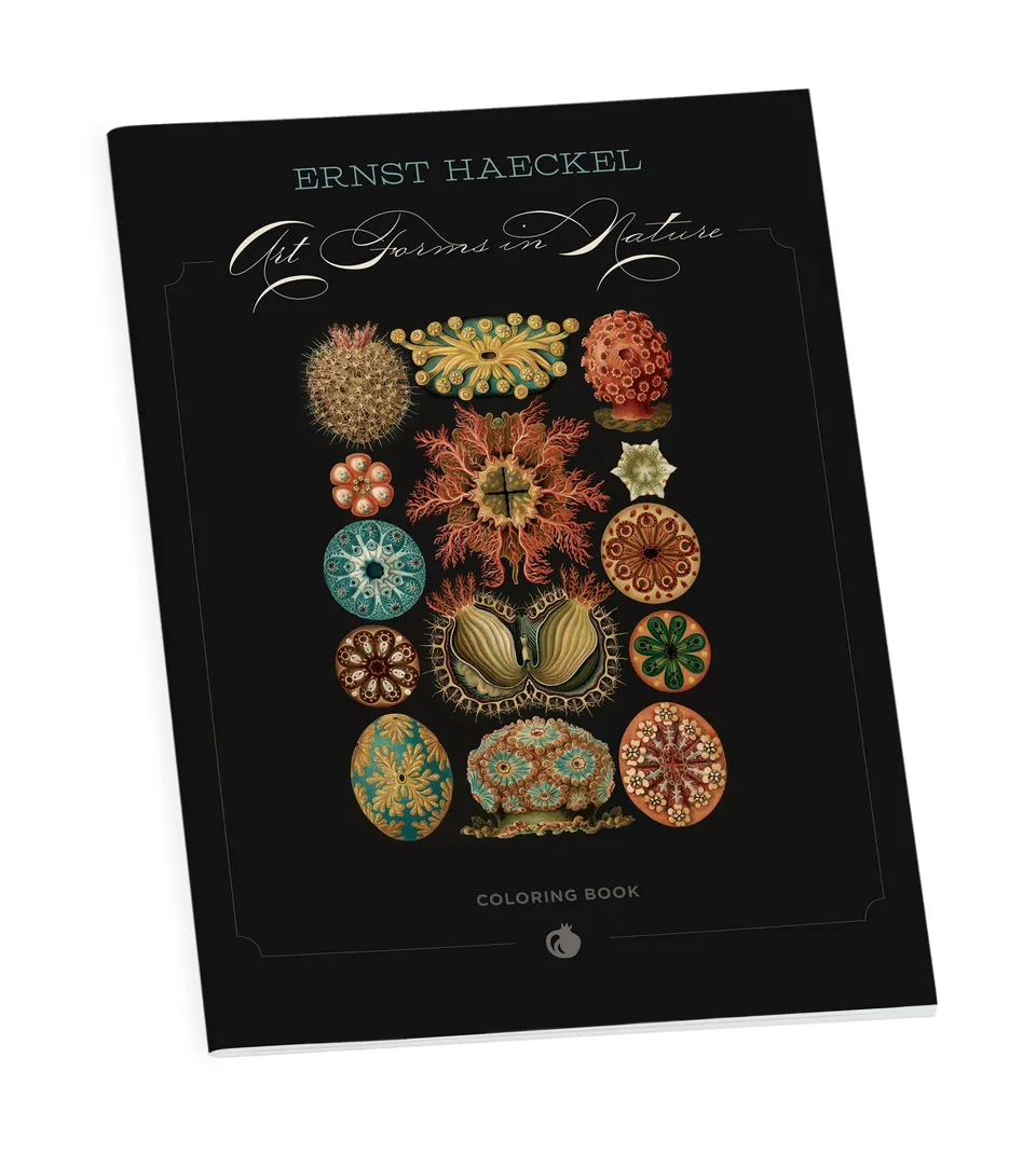 pomegranate-coloring-books-ernst-haeckel-malbuch-natur image 1