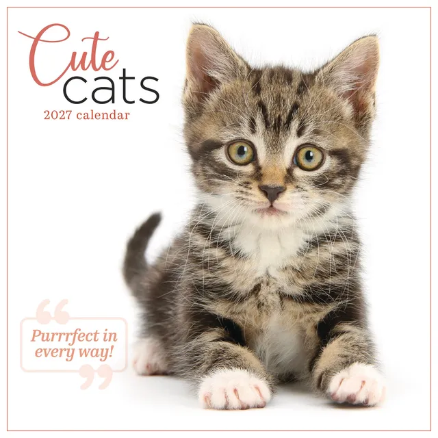otter-house-cute-cats-wandkalender-2027-katzenbilder image 1