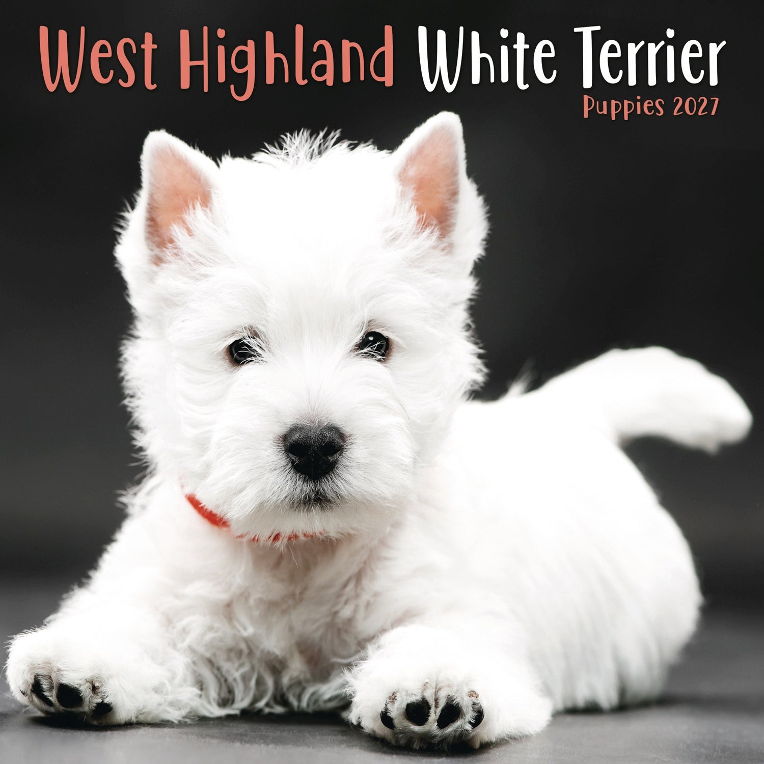 otter-house-west-highland-terrier-mini-kalender-2027-welpen image 1