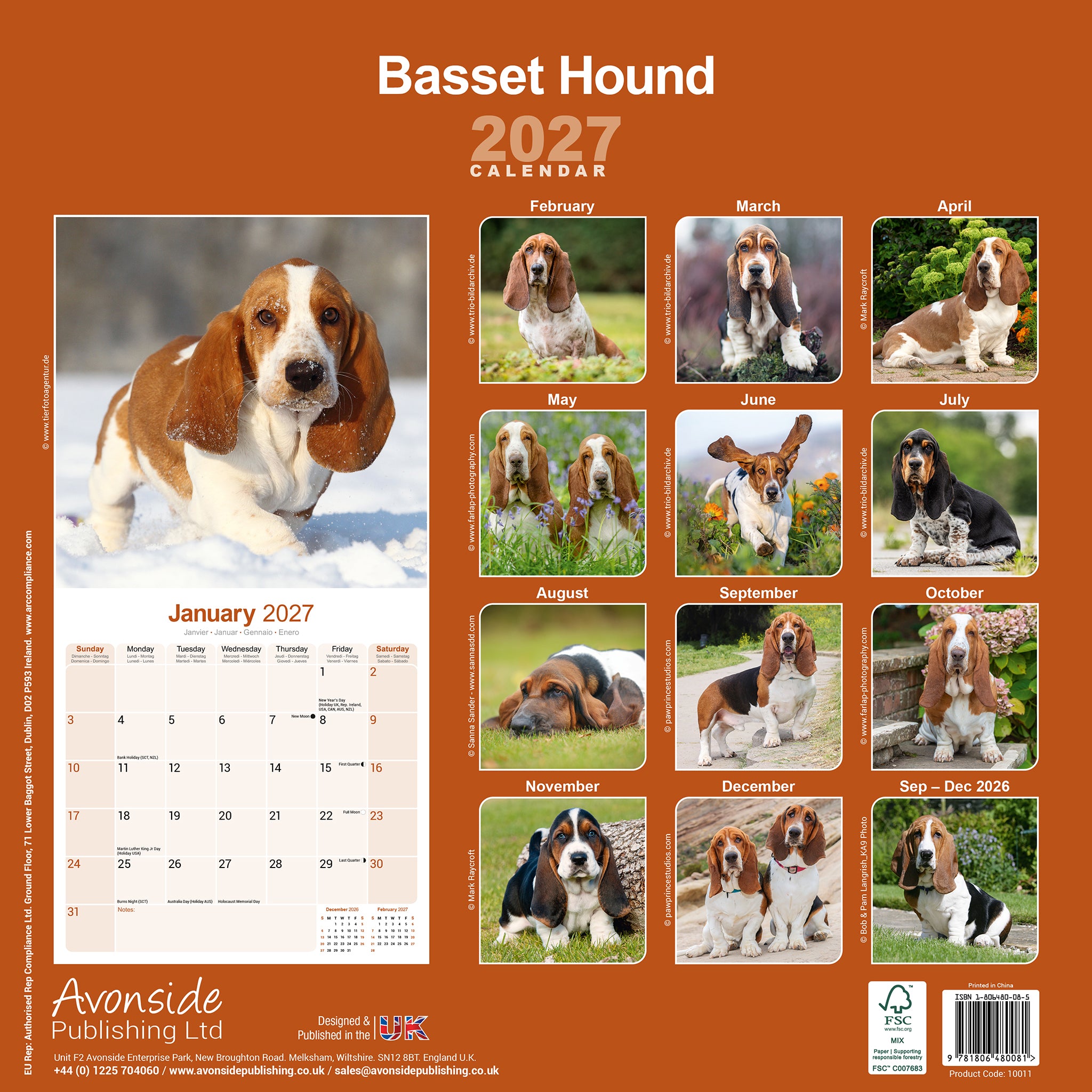 otter-house-basset-hound-wandkalender-2027-hunde image 2