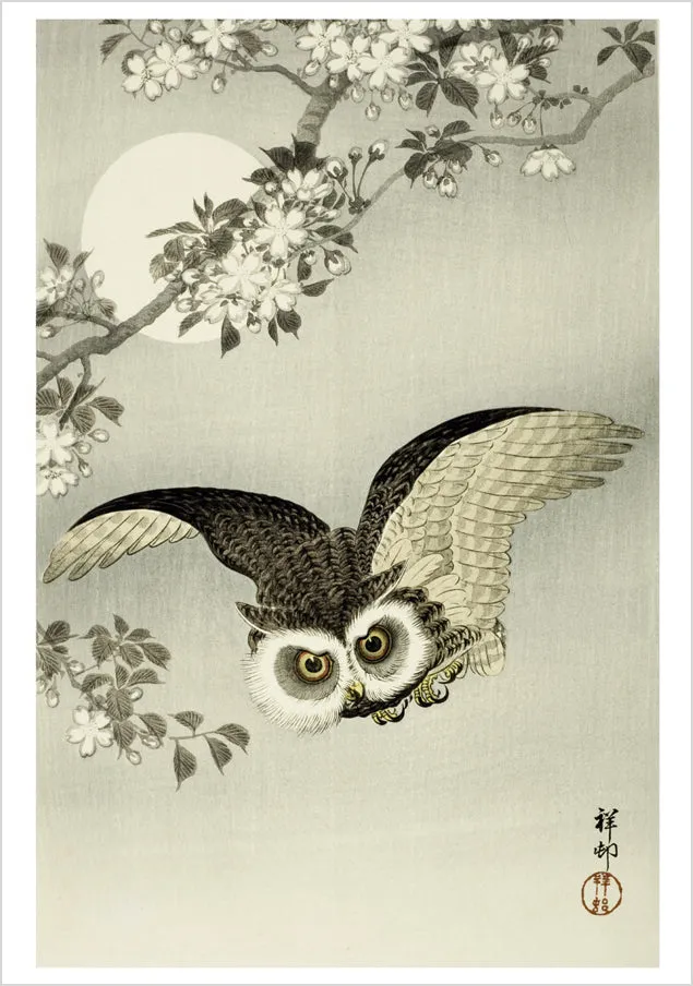 pomegranate-ohara-koson-eule-klappkarte-blanko image 1