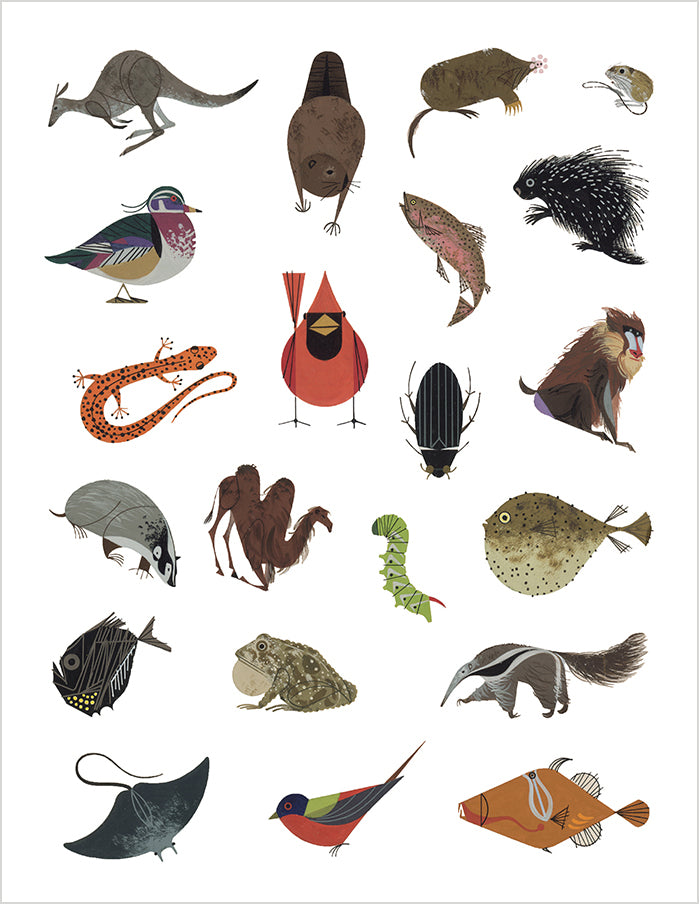 pomegranate-charley-harper-tree-of-life-stickerbuch-tiere image 3