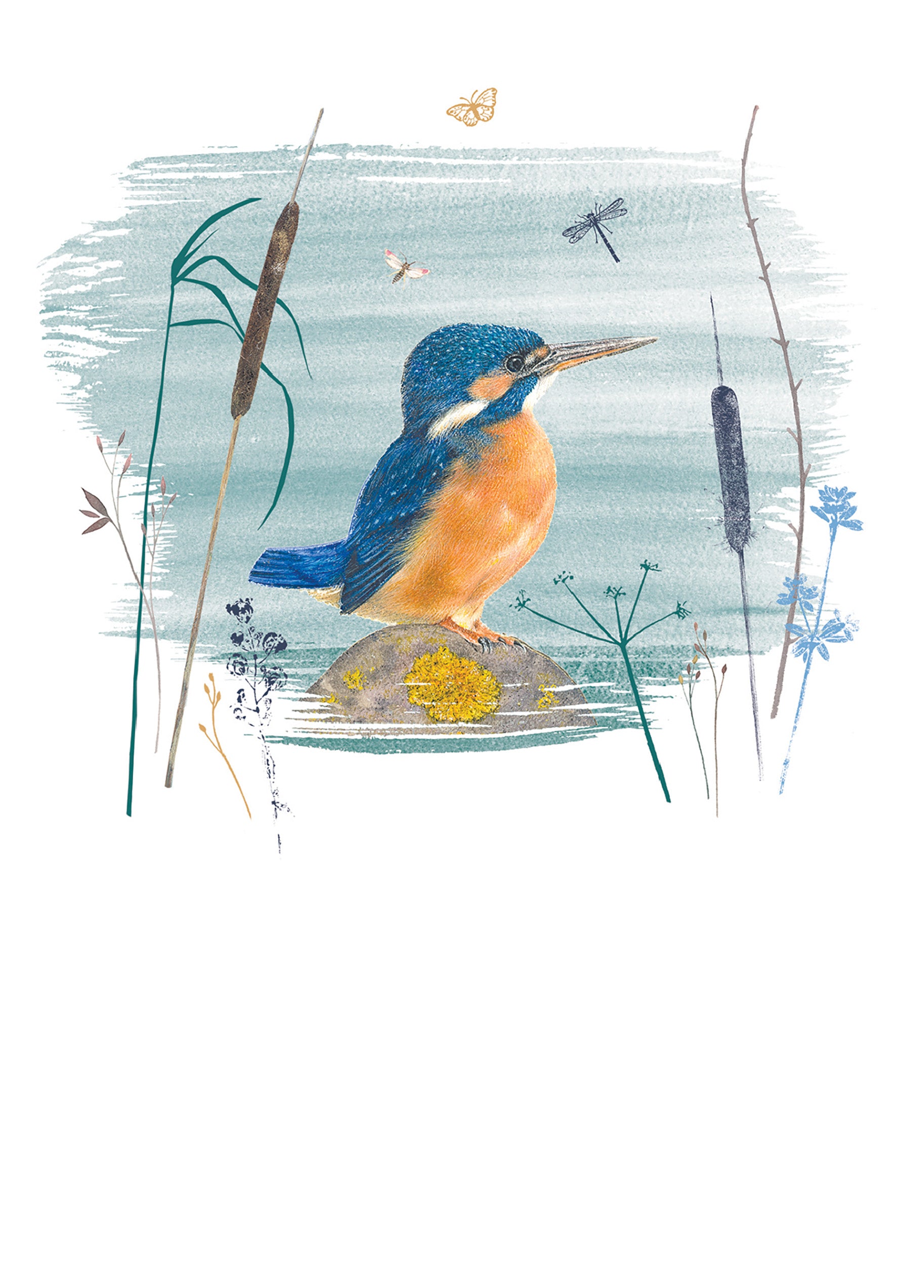 otter-house-water-birds-notizkarten-set-12-karten-wasserv-gel image 3