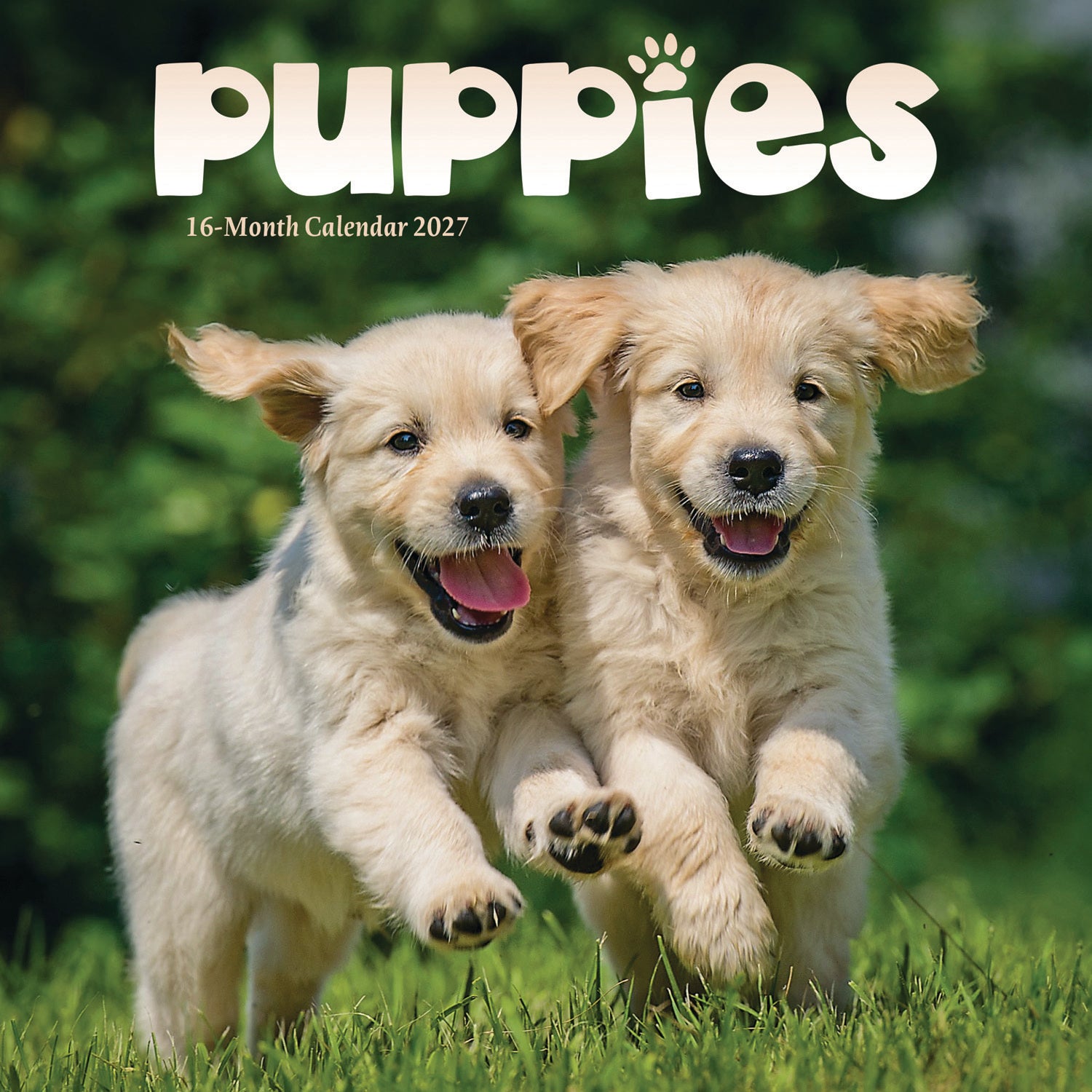 otter-house-puppies-mini-kalender-2027-hunde-welpen image 1