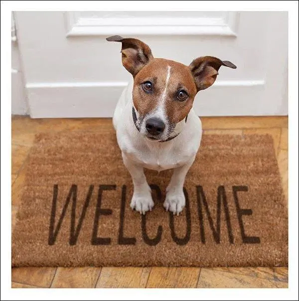 otter-house-snozzle-trauerkarte-door-mat-fussmatte-motiv image 1