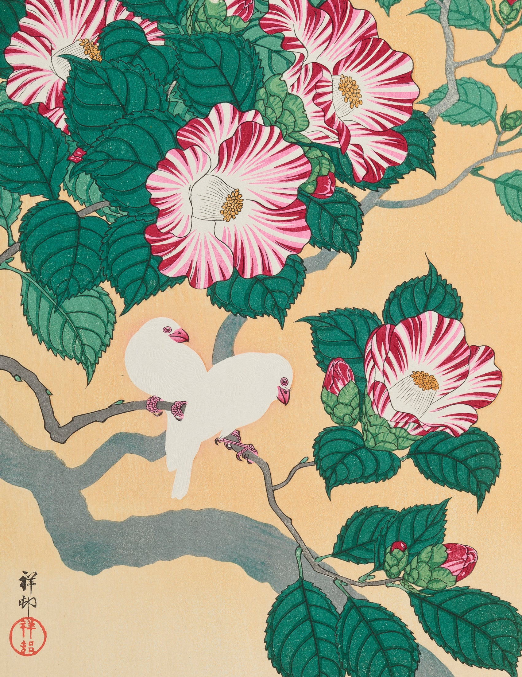 pomegranate-ohara-shoson-karten-set-v-gel-blumen-box image 4