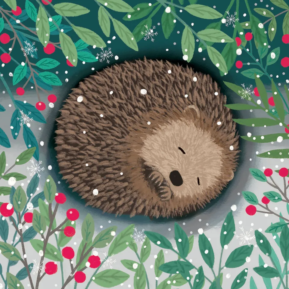 otter-house-rspb-weihnachtskarten-10er-igel-quadratisch image 1