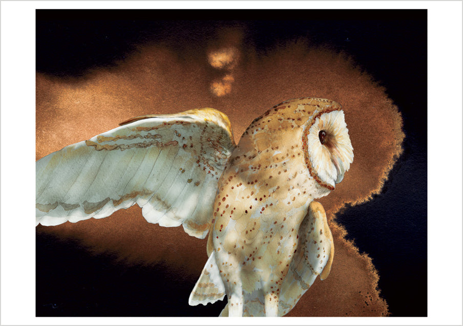 pomegranate-boxed-barn-owls-chappell-kartenbox-20-eulen image 2