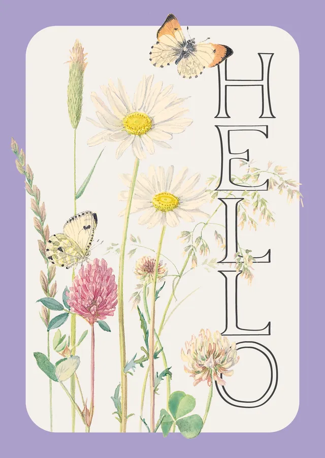 otter-house-edith-holden-notecards-12er-daisy-milkwort-a6 image 1