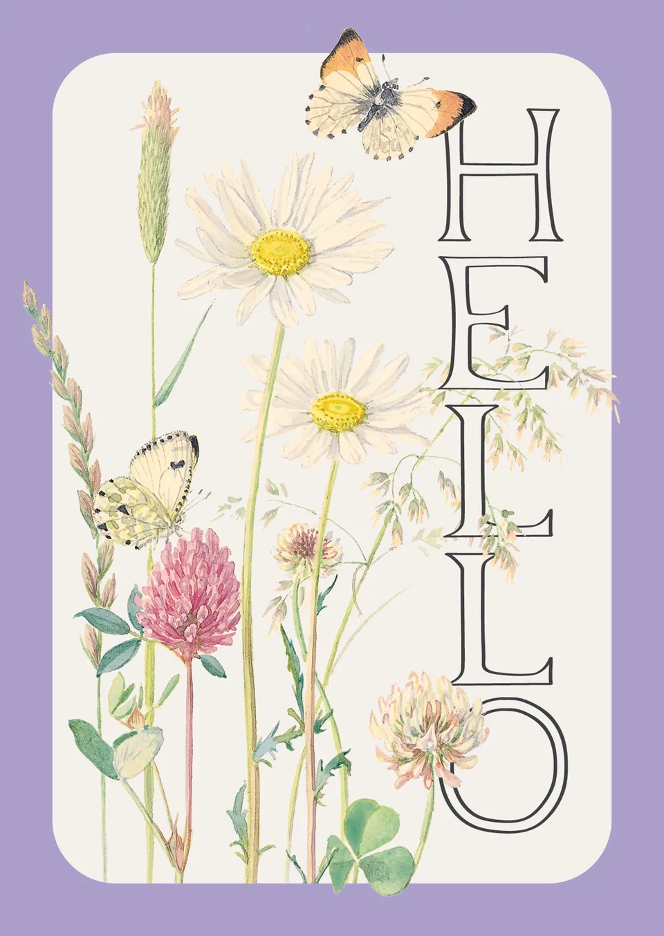 otter-house-edith-holden-notecards-12er-daisy-milkwort-a6 image 1