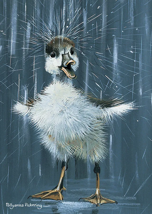 otter-house-stationery-duckling-splash-mini-notizkarten-5er image 1