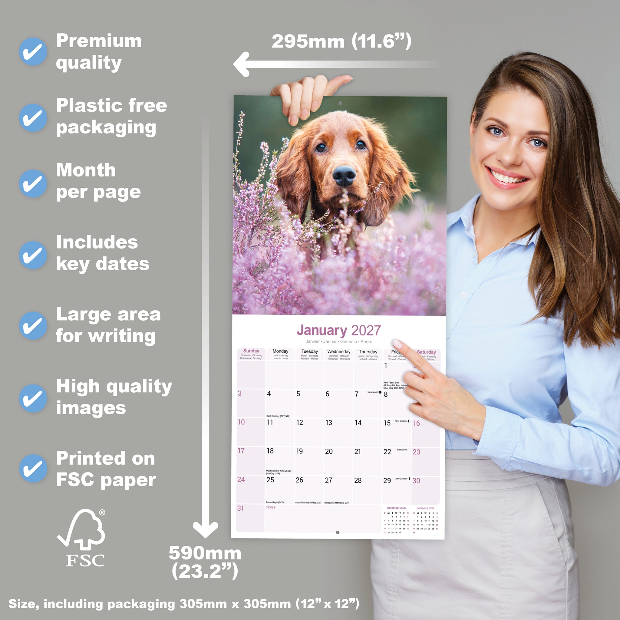 otter-house-irish-setter-wandkalender-2027-hunde-12-monate image 4