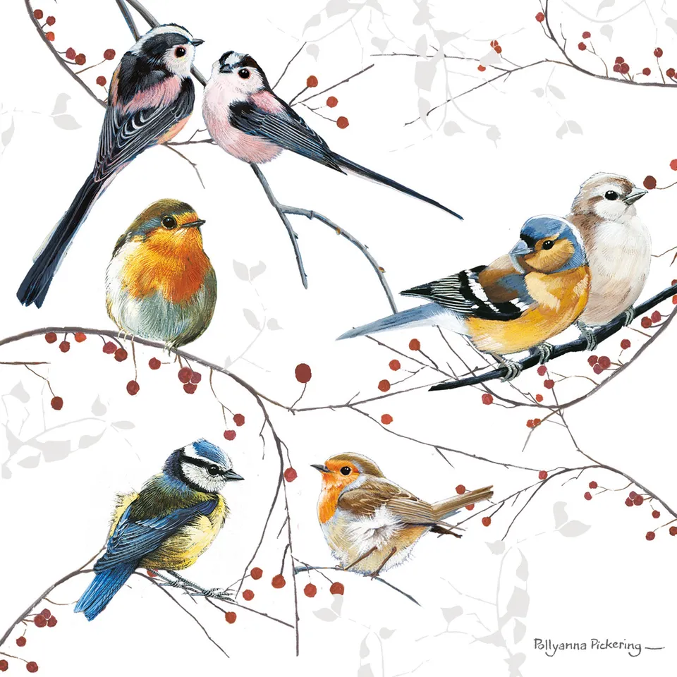otter-house-christmas-weihnachtskarten-birds-berries-pack image 1