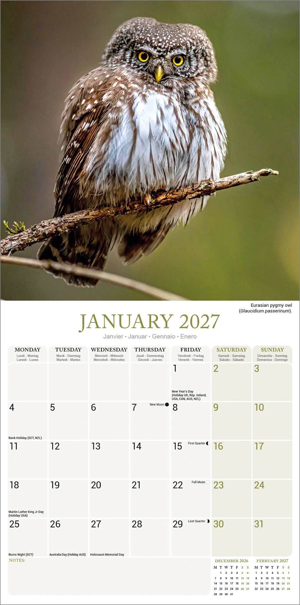 otter-house-owls-wall-calendar-2027-wandkalender-eulen image 3