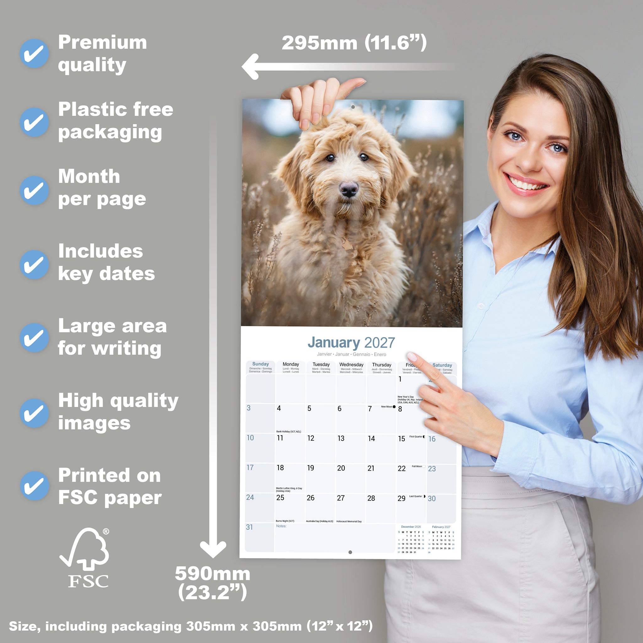 otter-house-labradoodle-wall-calendar-2027-wandkalender-hunde image 4