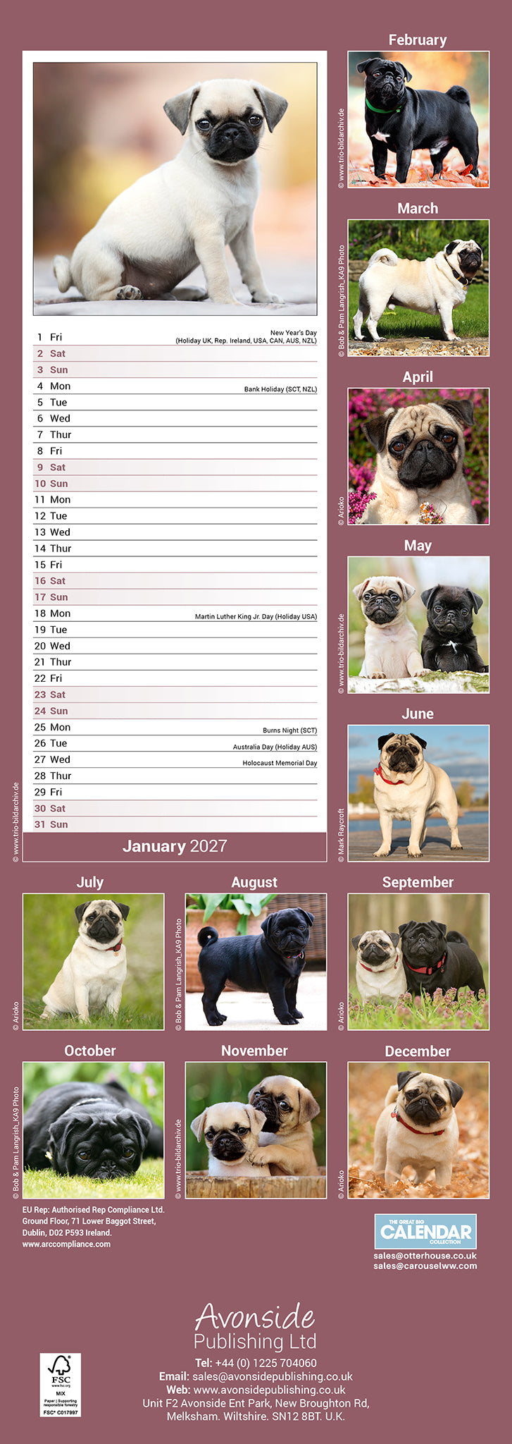 otter-house-pug-slim-calendar-2027-wandkalender-mops image 2