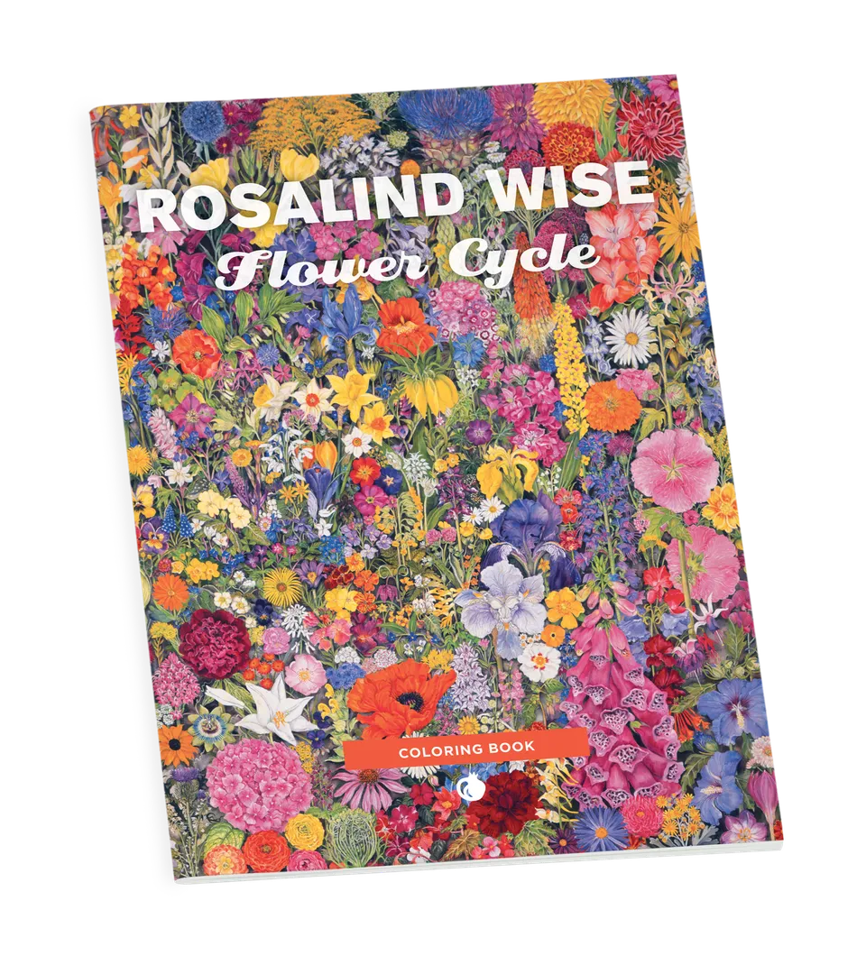 pomegranate-flower-cycle-malbuch-rosalind-wise-blumen image 1