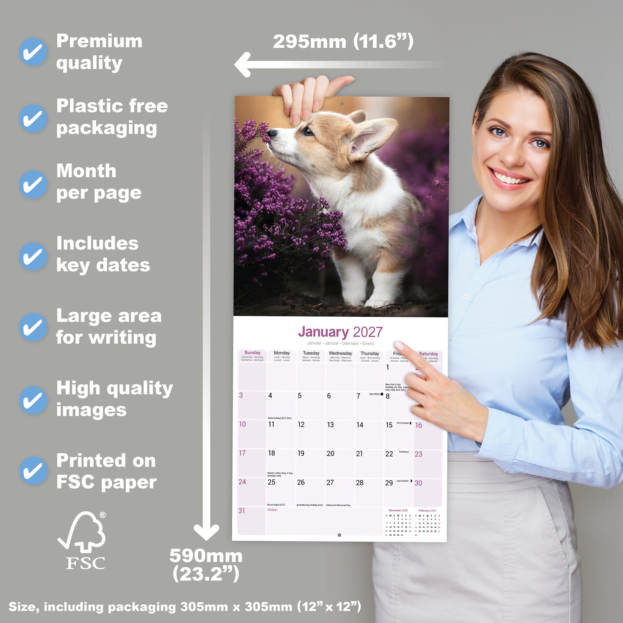 otter-house-corgi-wandkalender-2027-hundekalender image 4
