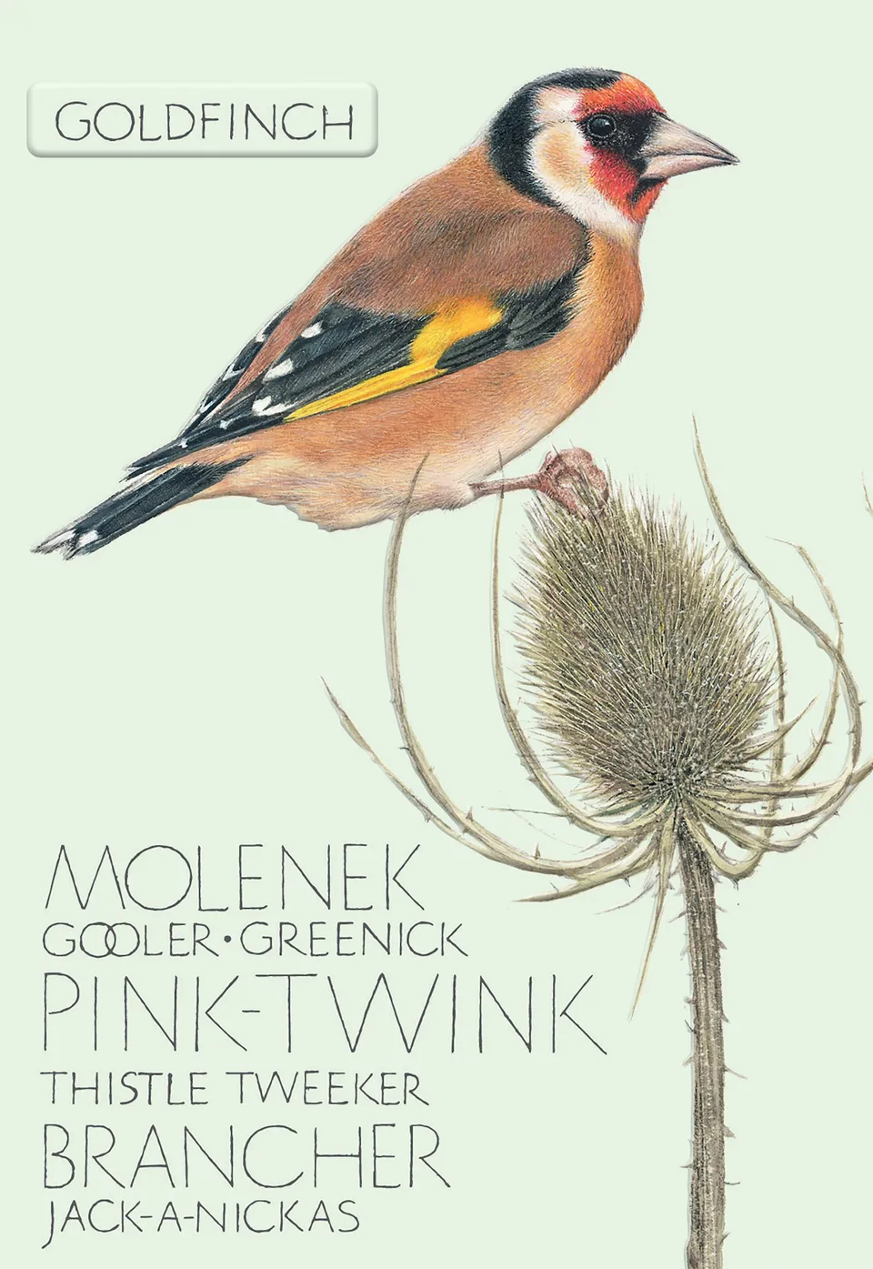 otter-house-vogelkarte-goldfinch-stieglitz-gru-karte image 1