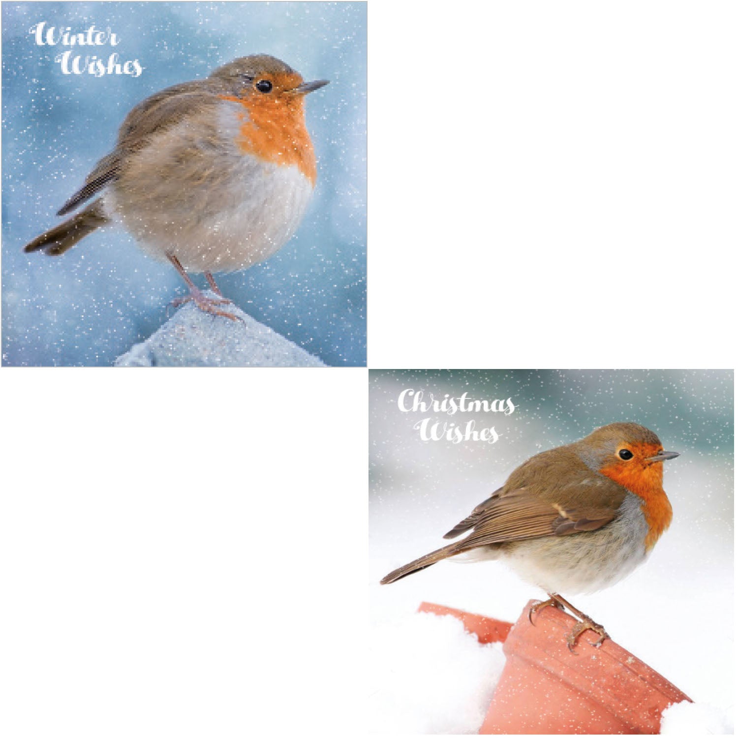 otter-house-winter-perch-weihnachtskarten-10er-box-schnee image 1