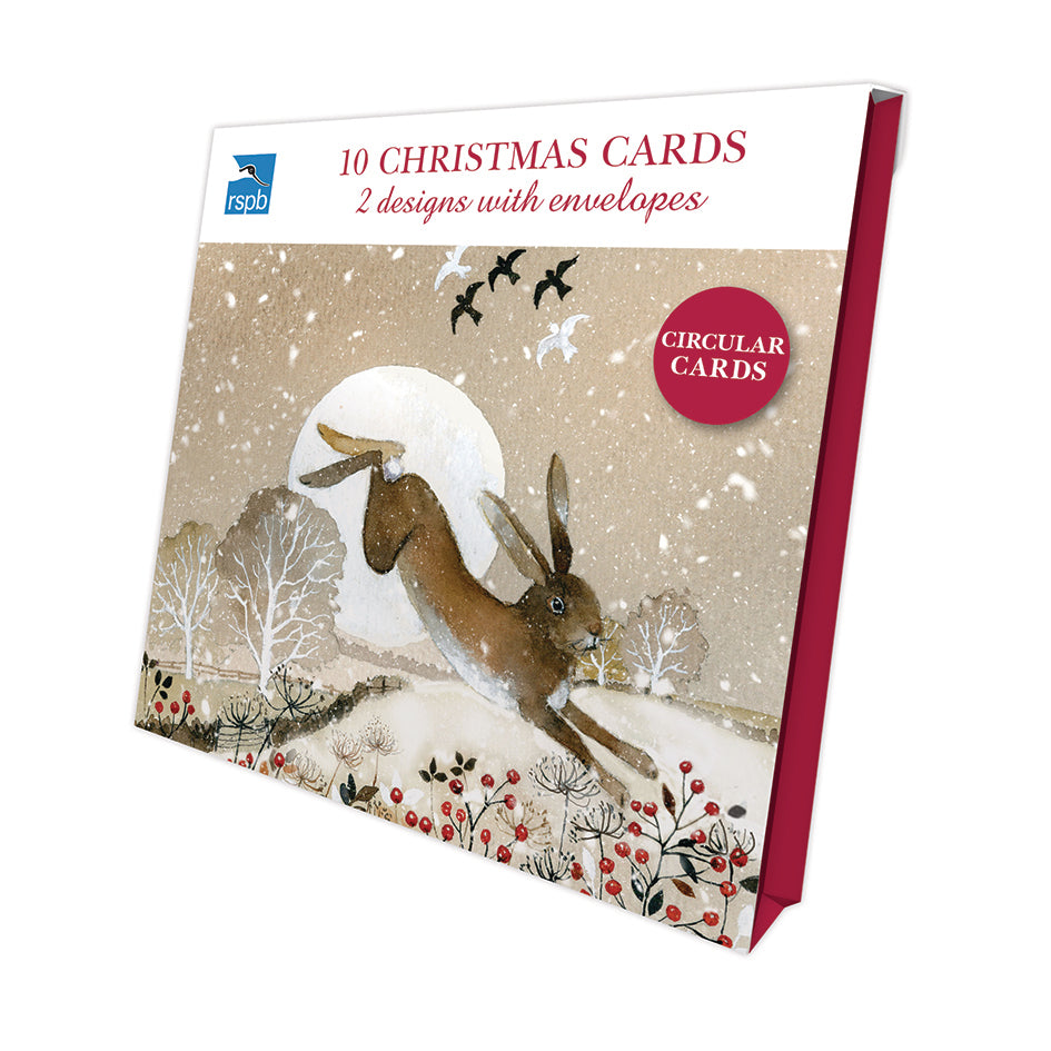otter-house-moonlit-winter-rspb-weihnachtskarte-10er-pack image 1