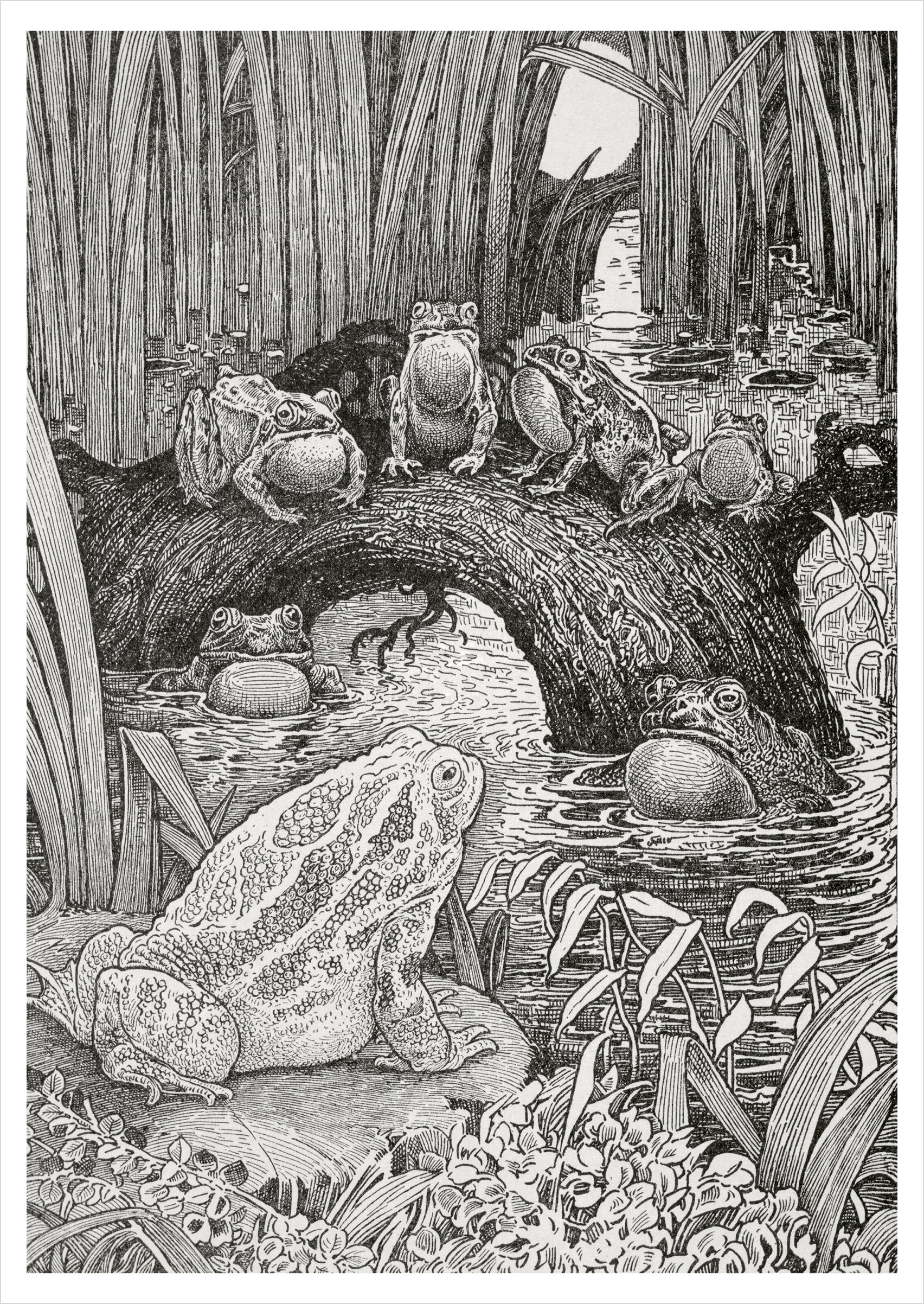 pomegranate-louis-rhead-family-concert-postkarte-tiere image 1