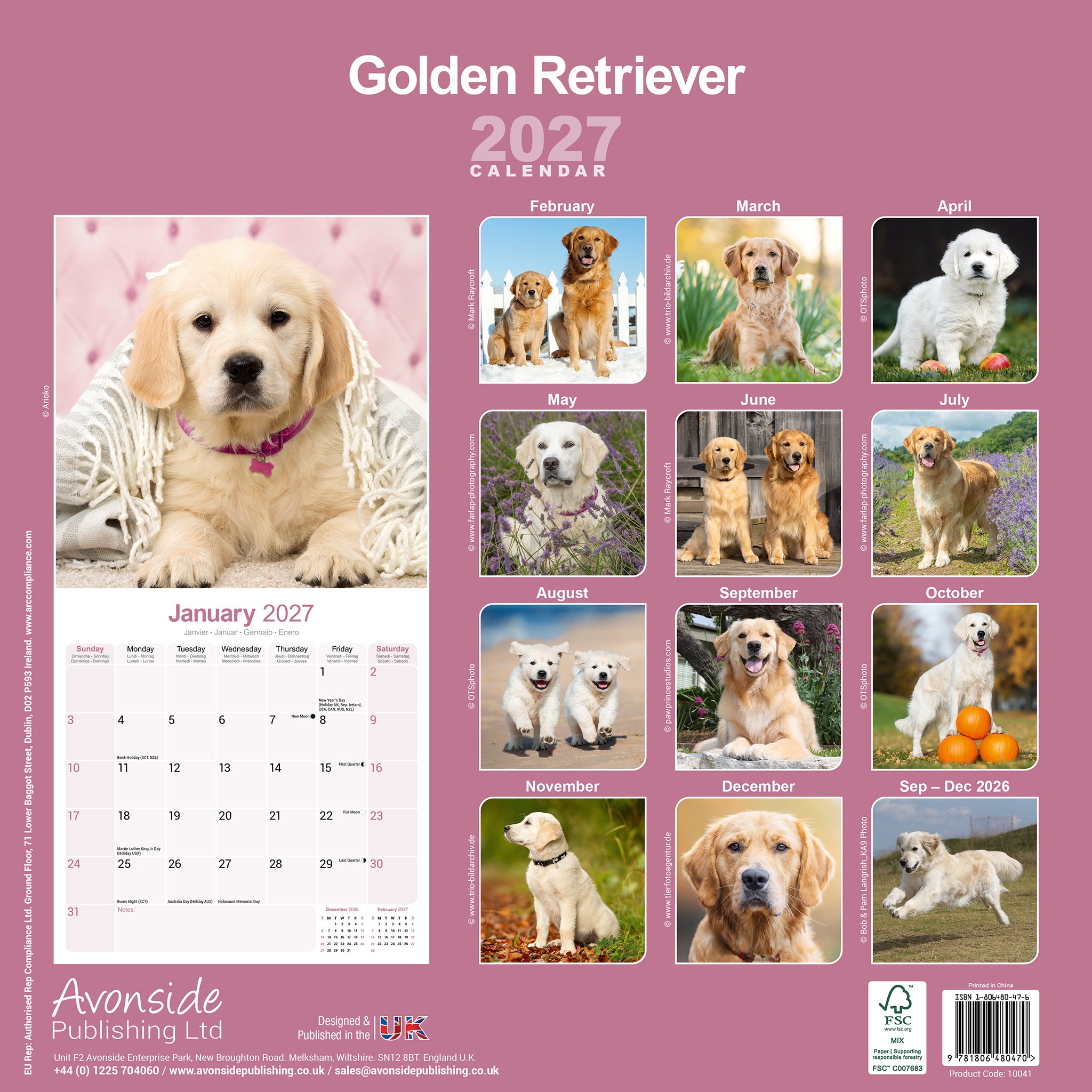 otter-house-golden-retriever-wandkalender-2027-hunde image 2
