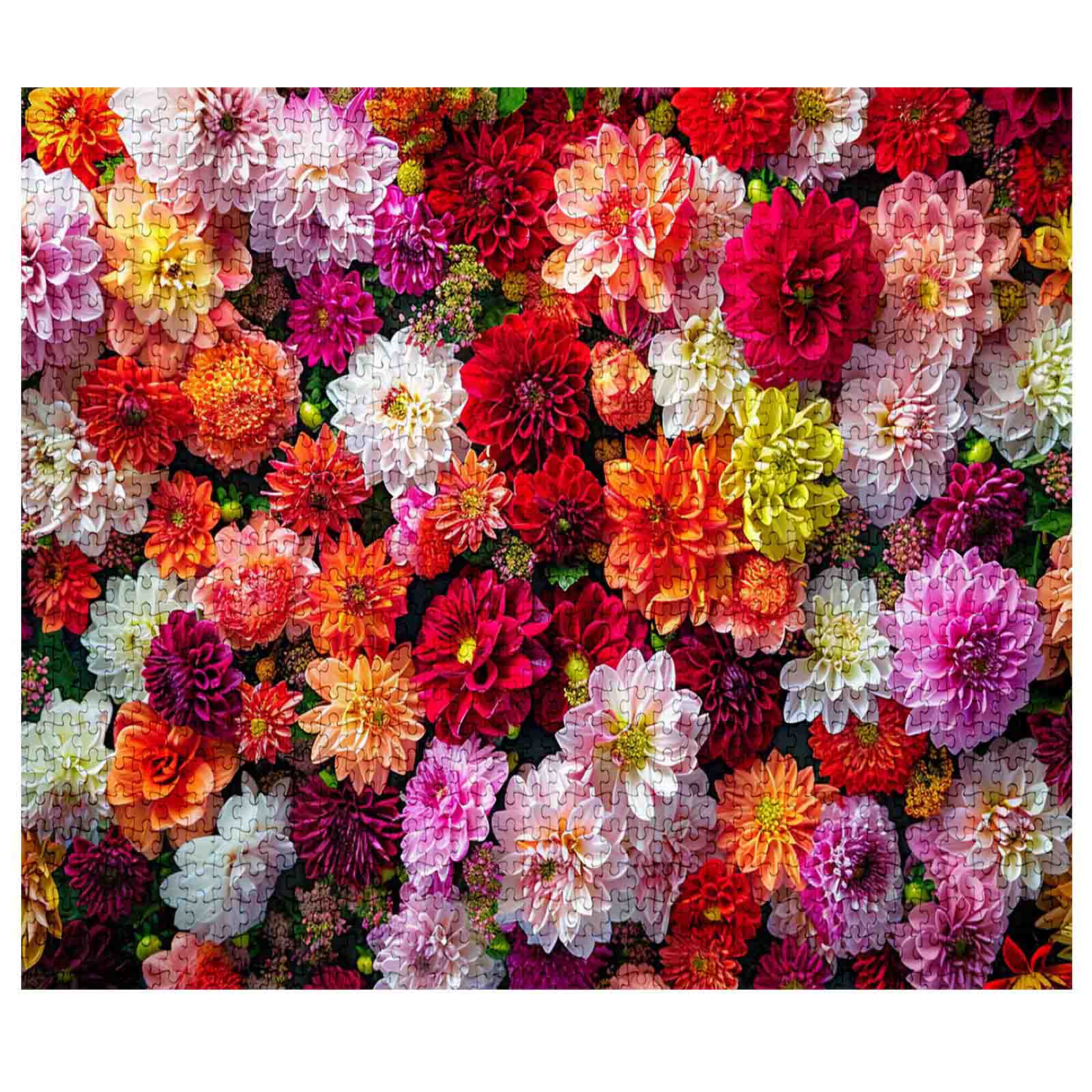 tucocoo-blooming-dahlia-puzzle-1000-teile-blumen image 2