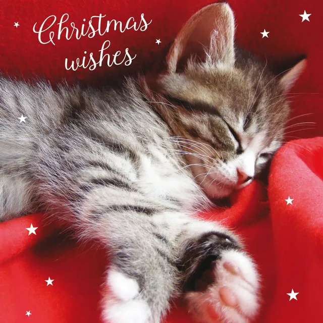 otter-house-christmas-weihnachtskarten-cosy-kittens-katzen-set image 1