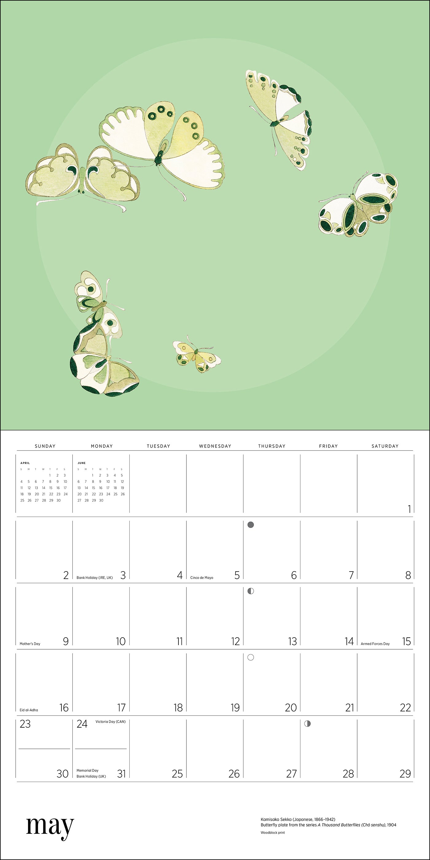 pomegranate-butterflies-2027-wandkalender-schmetterlinge image 7