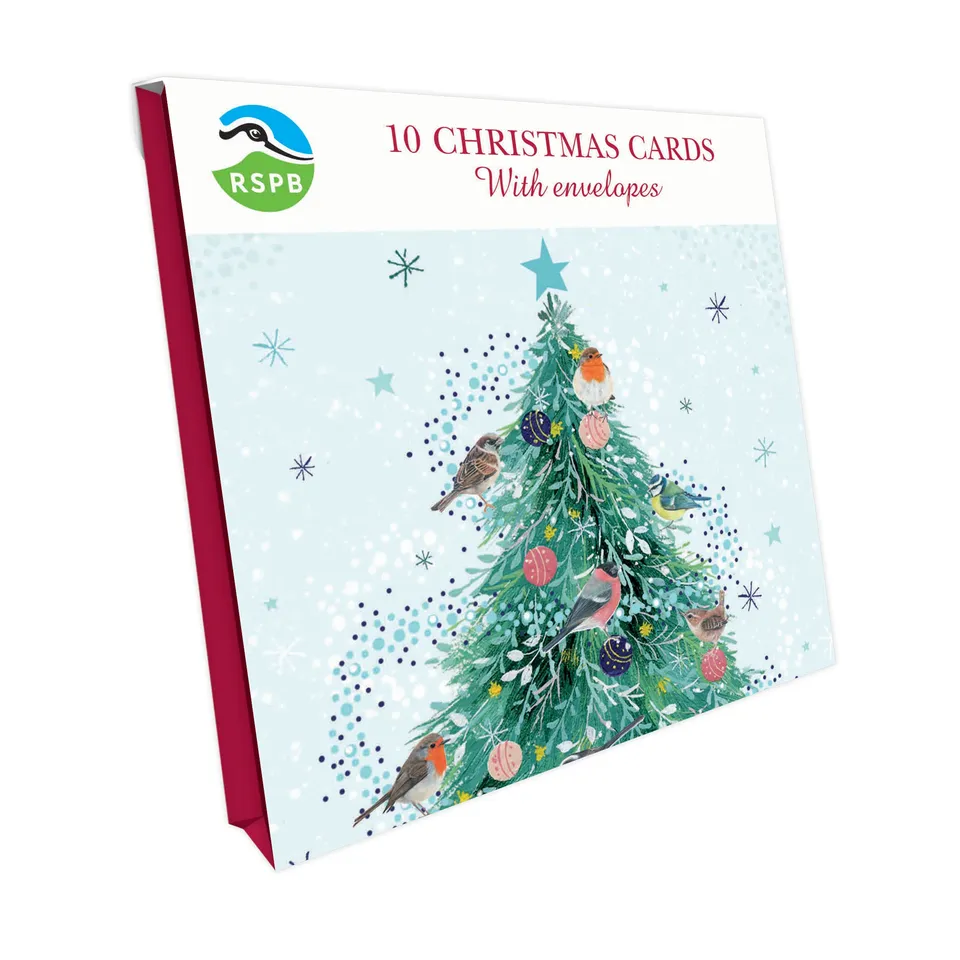 otter-house-tree-of-birds-weihnachtskarten-10er-pack-rspb image 1