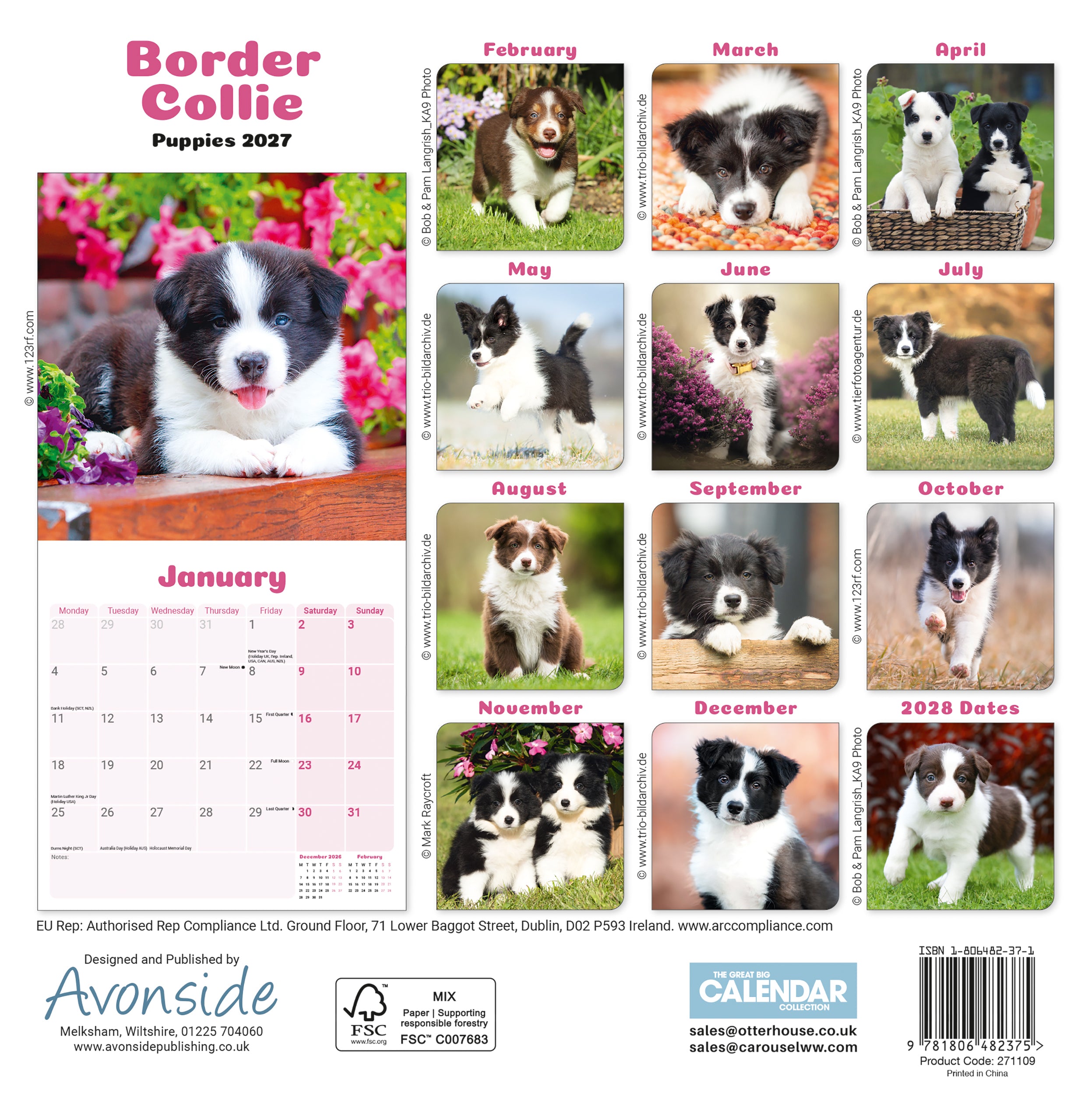 otter-house-border-collie-puppies-mini-kalender-2027 image 2