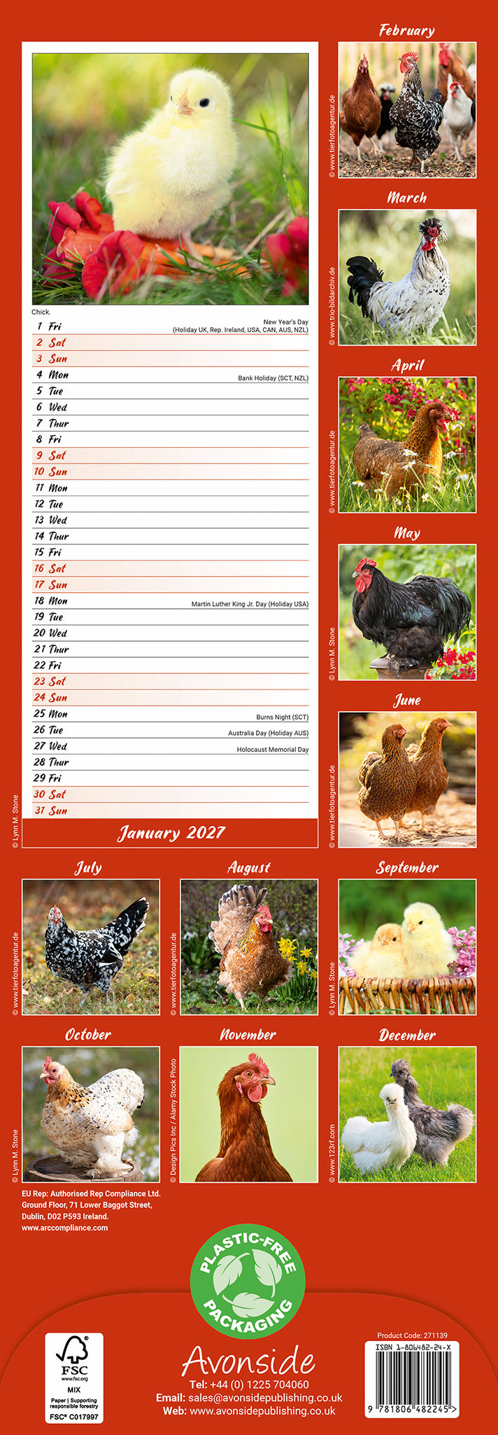 otter-house-chickens-slim-kalender-2027-h-hner-wandkalender image 2