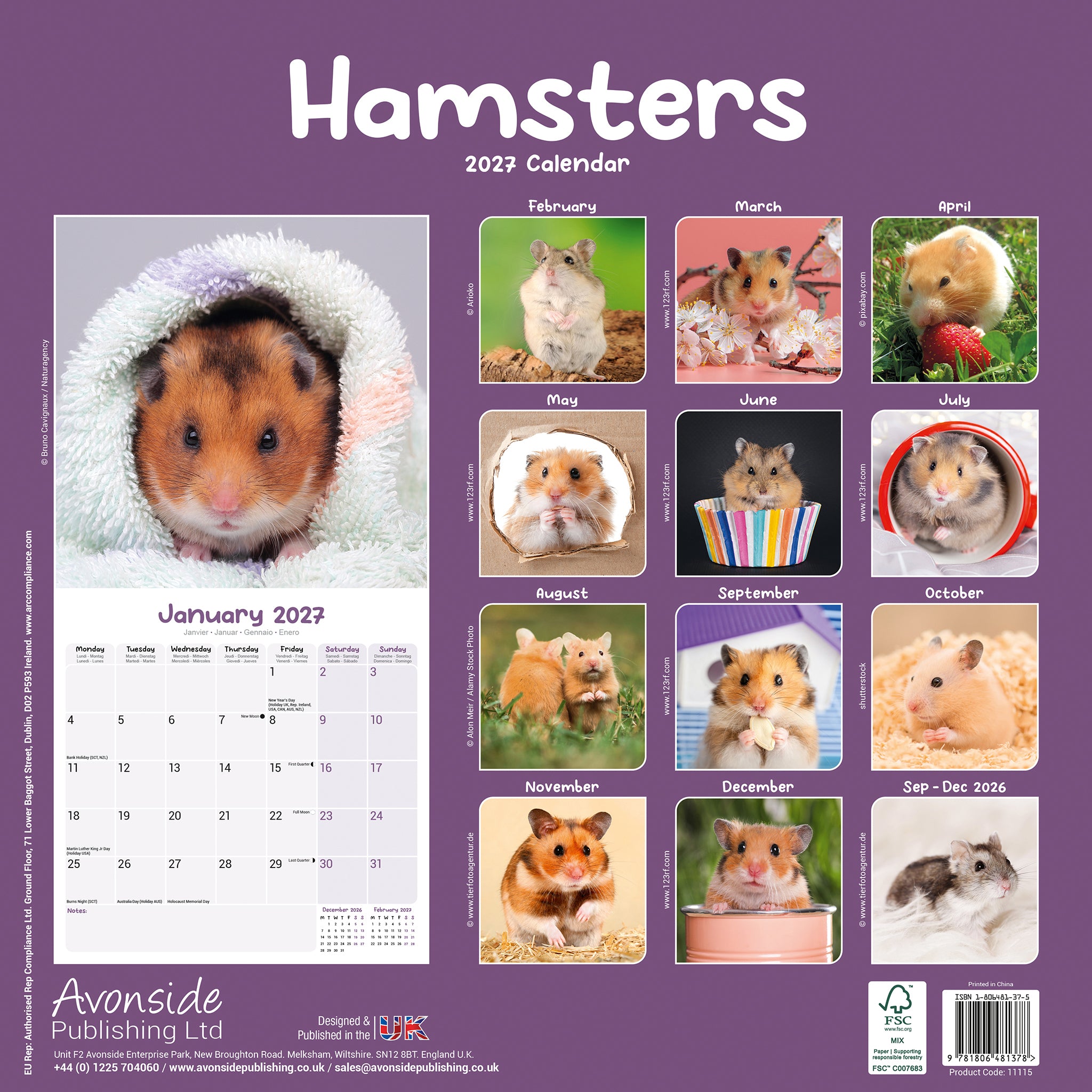 otter-house-hamsters-wandkalender-2027-tiere-hamster image 2